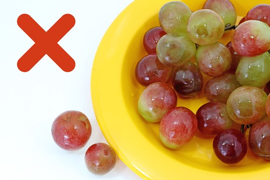 plate of whole grapes and a red cross icon