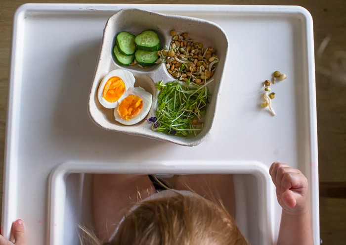 A small child at the children's table is going to eat healthy food from sprouted grains and eggs. Vegetarian food microgreens for the little ones. Vitamins and minerals in food. Top view