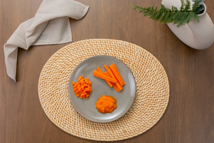 Presenting an array of carrot textures, from creamy puree to crunchy sticks, perfect for introducing solid foods in baby-led weaning