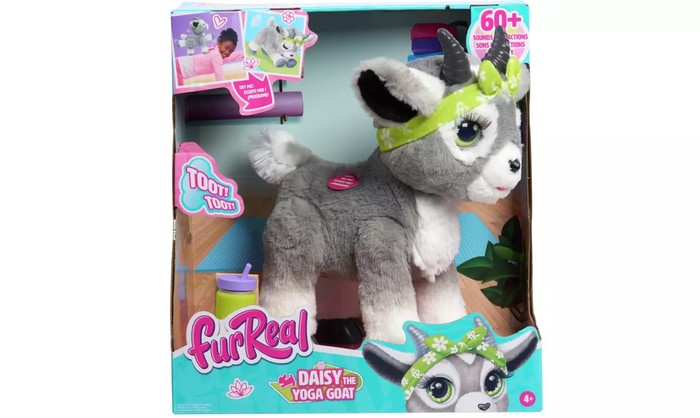 Screenshot 2024-09-25 123351 Daisy goat